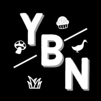 Yes But No (Student Group)